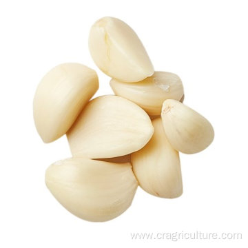 Hot Sale Chinese Peeled Garlic Vegetable